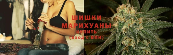 трава Осташков