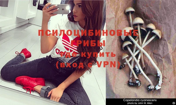 гашишное масло Осинники